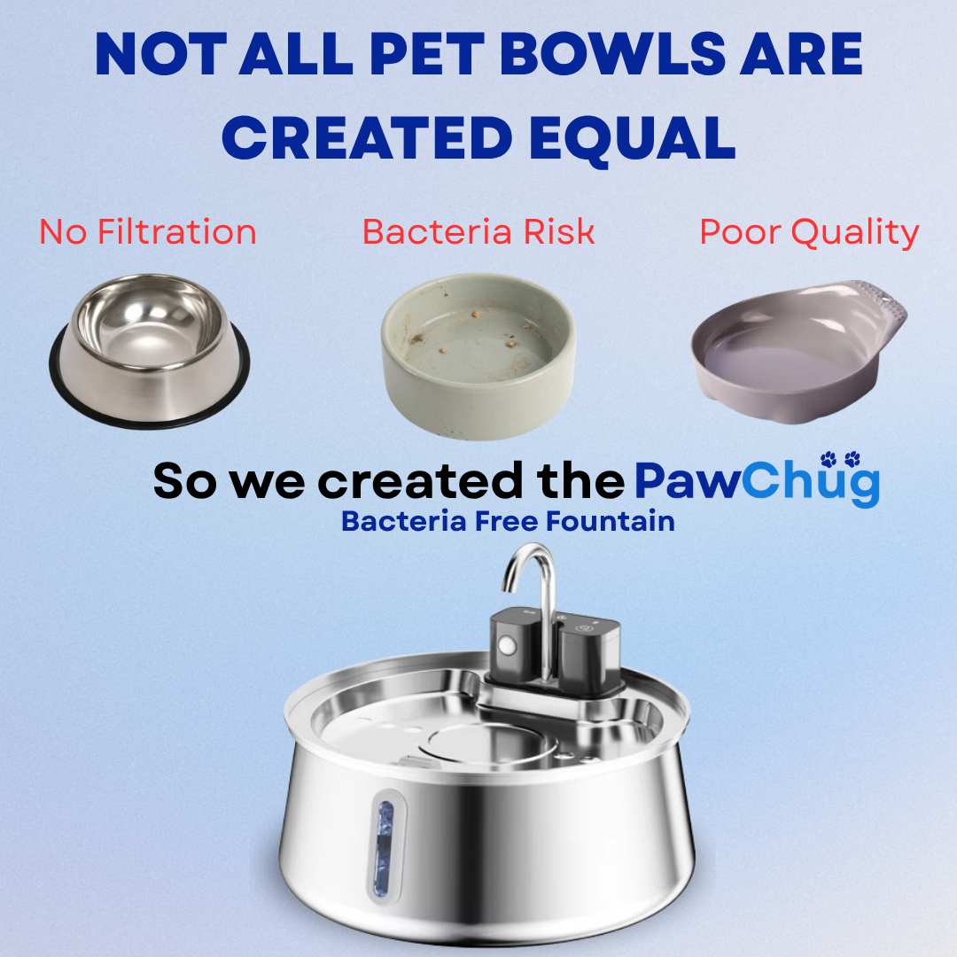 PawChug - Filtered Pet Fountain